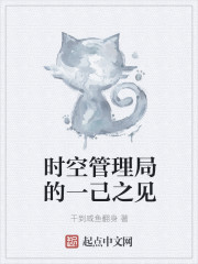 时空管理局的一己之见