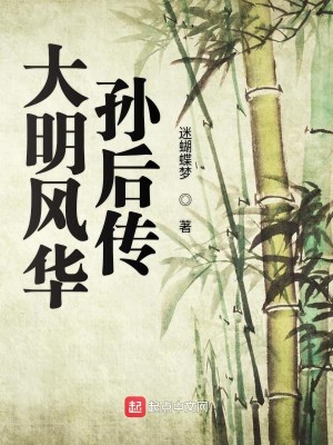大明风华孙后传