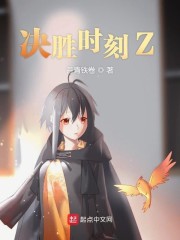 决胜时刻Z