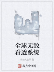 全球无敌看透系统
