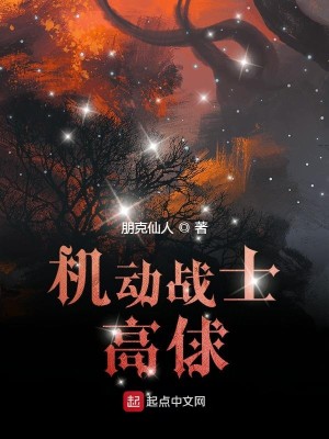 机动战士高俅