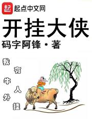 开挂大侠