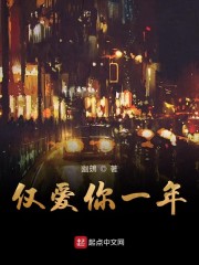 仅爱你一年
