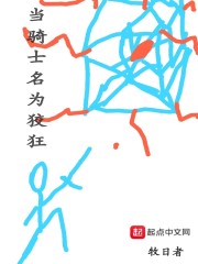 当骑士名为狡狂