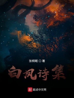 白凤诗集