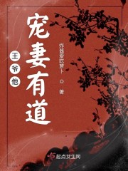 王爷他宠妻有道