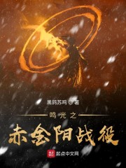 鸣光之赤金阳战役