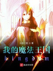 我的魔法王国kingdom