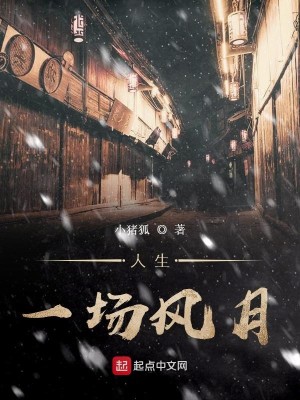 人生一场风月