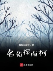 名侦探南柯