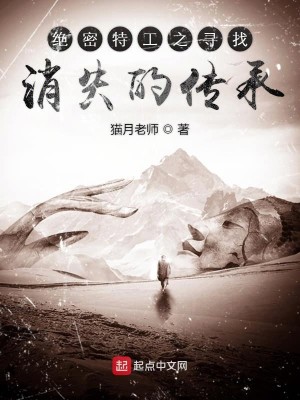 绝密特工之寻找消失的传承