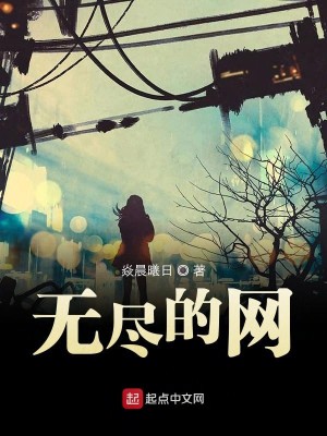 无尽的网