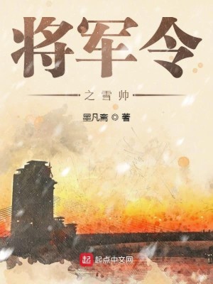 将军令之雪帅