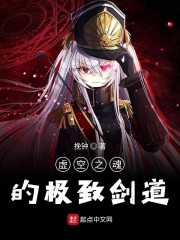 虚空之魂的极致剑道