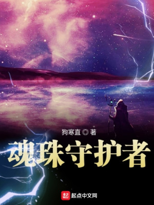 魂珠守护者