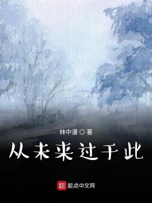 从未来过于此