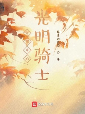 梦想中的光明骑士