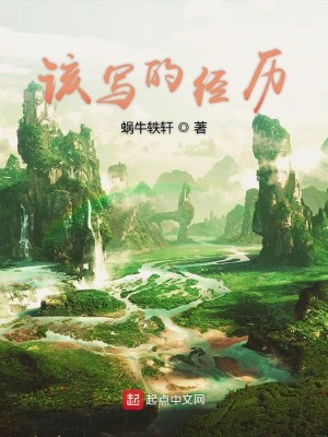 该写的经历