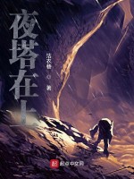 夜塔在上在线阅读
