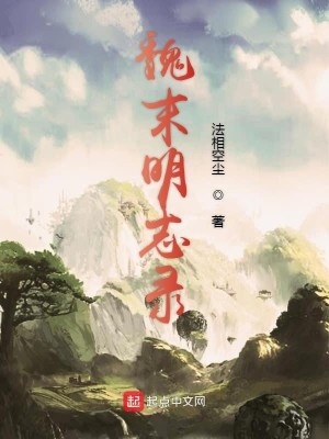 魏末明志录