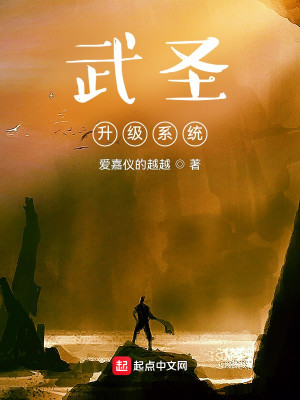 武圣升级系统