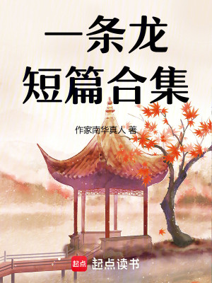 一条龙全集