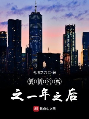 爱情公寓之一年之后