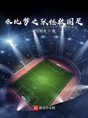 水比梦之队拯救国足