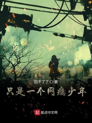 只是一个网瘾少年