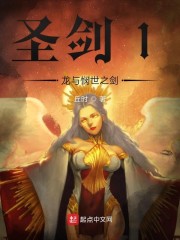 圣剑1龙与悯世之剑