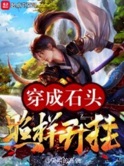 穿成石头照样开挂