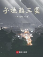 子桓的三国