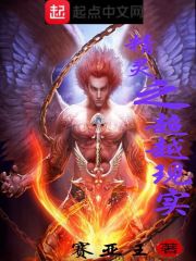 精灵之超越现实