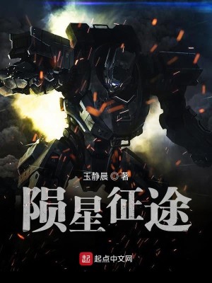 陨星征途