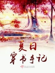 夏日穿书手记