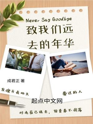 致我们远去的年华