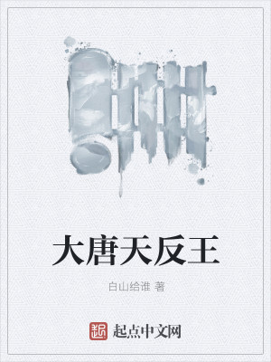 大唐天反王