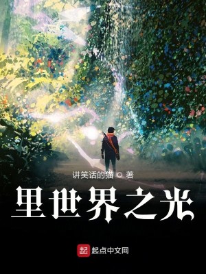 里世界之光