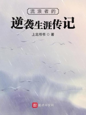 流浪者的逆袭生涯传记