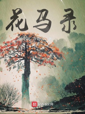 花马录