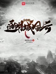 修真之通明城风云