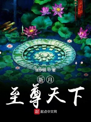新月至尊天下