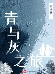 青与灰之旅