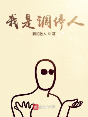 我是调停人
