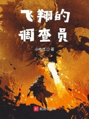 飞翔的调查员