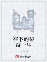 在下的传奇一生