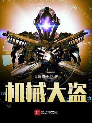 机械大盗