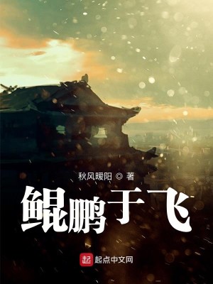 鲲鹏于飞