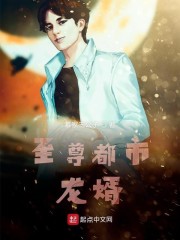 至尊都市龙婿