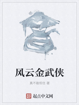 风云金武侠
